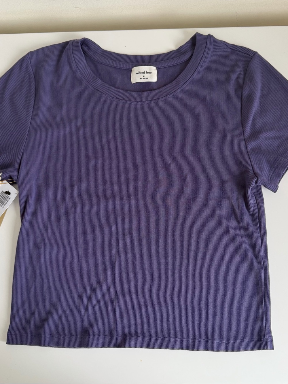 Aritzia Purple Ribbed Short-Sleeve Tee